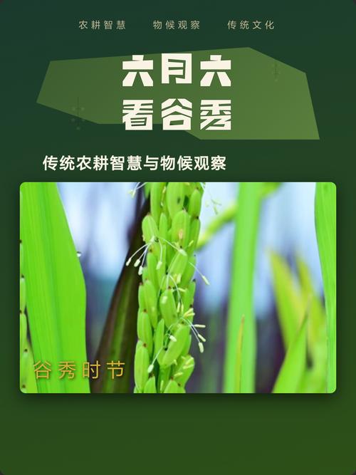 谷秀科技 以创新驱动未来，用科技赋能产业